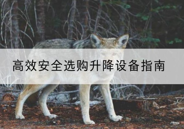 鲤城升降货梯厂家推荐-*安全选购升降设备指南