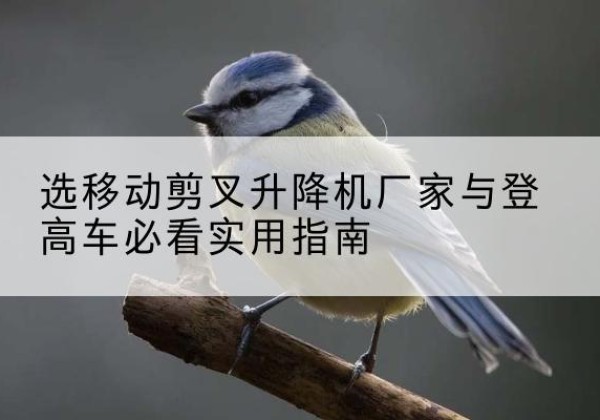 鲤城电动升降机厂家-选移动剪叉升降机厂家与登高车必看实用指南