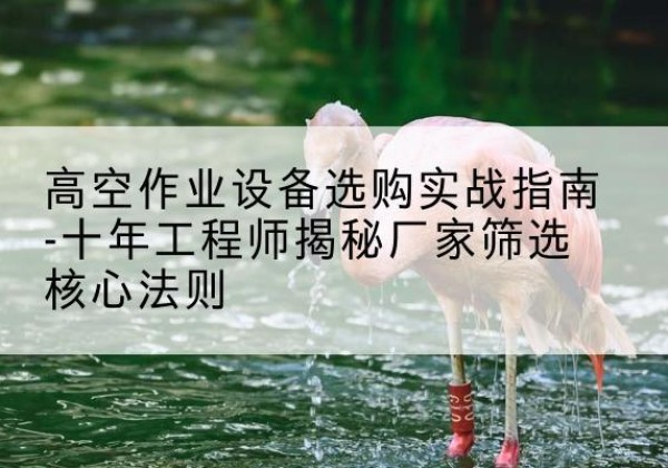 鲤城剪叉式升降机厂家-高空作业设备选购实战指南-十年工程师揭秘厂家筛选核心法则